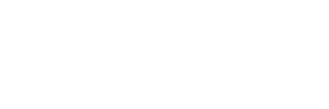 ds_logo_white.png